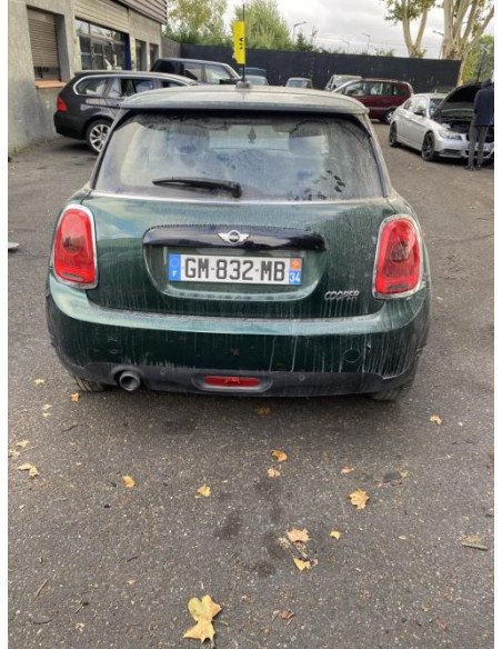 Pompe de gavage MINI MINI 3 F56 PHASE 1 Essence