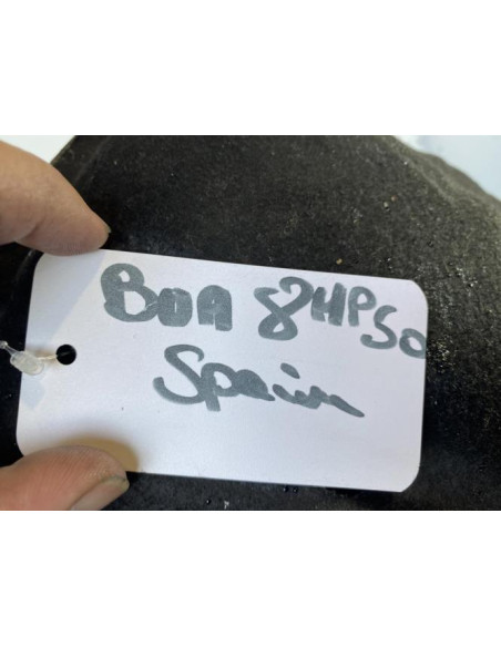 Boite de vitesses BMW SERIE 2 F22/F87 COUPE PHASE 1 