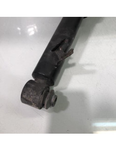 Amortisseur arriere gauche BMW X6 E71 PHASE 1 Essence 2