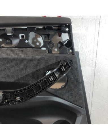 Panneau de porte arriere gauche BMW X4 G02 
