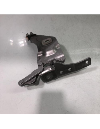 Charniere de capot BMW X6 E71 PHASE 1 Essence