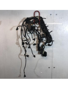 Faisceau moteur BMW SERIE 6 F06 GRAN COUPE PHASE 1 Essence