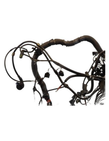 Faisceau moteur BMW SERIE 3 E46 COMPACT PHASE 1 Diesel