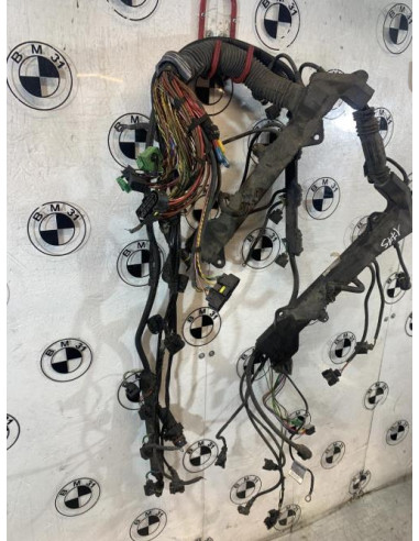 Faisceau moteur BMW SERIE 7 E66 LIMOUSINE PHASE 1 Essence