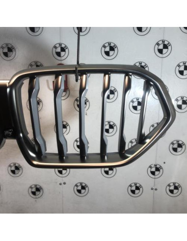 Grille de calandre BMW X6 G06 
