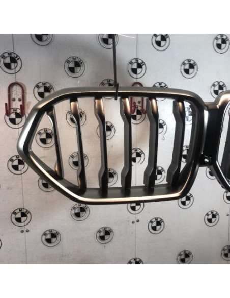 Grille de calandre BMW X6 G06 