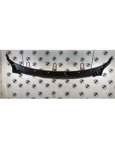 Baie de pare brise BMW X6 F16 