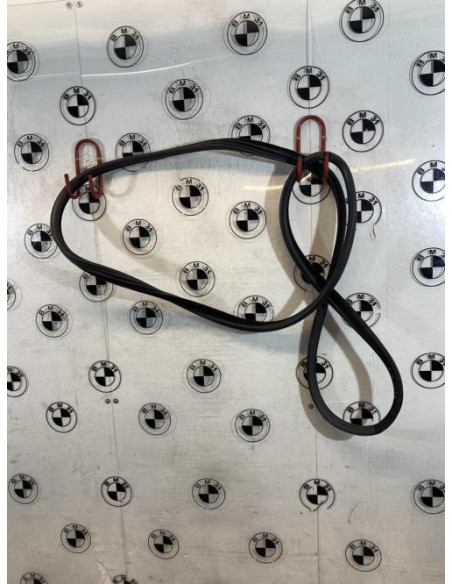 Joint de porte avant droite BMW X5 E70 PHASE 1 Diesel