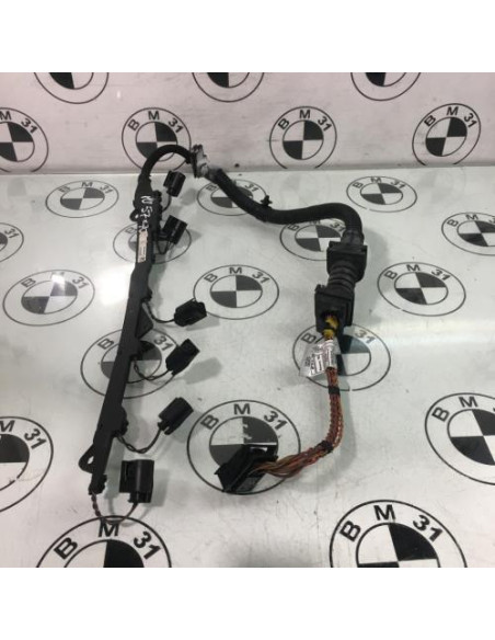 Faisceau moteur BMW X5 E70 PHASE 2 