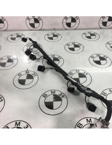 Faisceau moteur BMW X5 E70 PHASE 2 