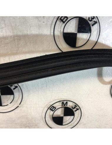 Joint de porte arriere gauche BMW X6 F16 