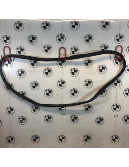 Joint de porte arriere gauche BMW X6 F16 