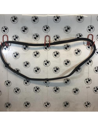 Joint de porte arriere droite BMW X6 F16 