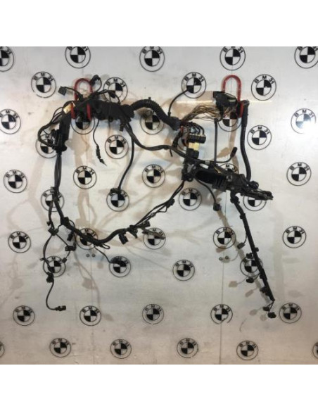 Faisceau moteur BMW SERIE 5 F10 PHASE 2 Diesel