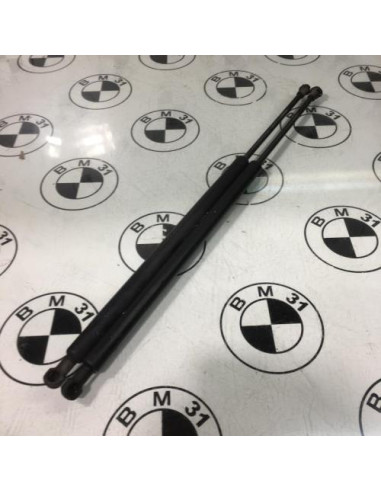 Verin de coffre BMW X5 E53 