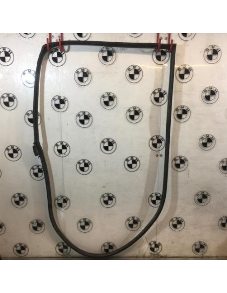 Joint de porte avant gauche MINI MINI 2 R56 PHASE 1 Essence