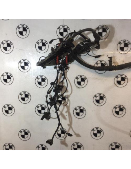 Faisceau moteur BMW X3 F25 PHASE 1 Diesel
