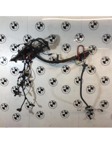 Faisceau moteur BMW X3 F25 PHASE 1 Diesel
