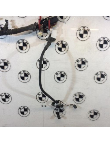 Faisceau moteur BMW X3 F25 PHASE 1 Diesel
