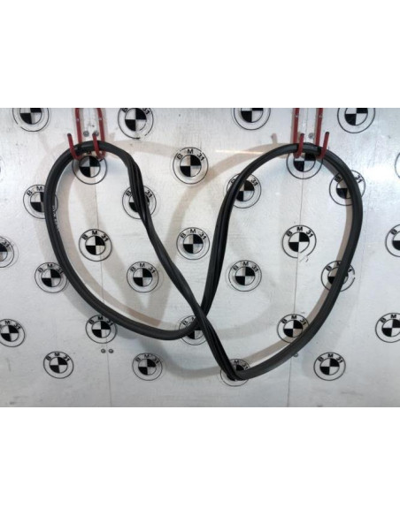 Joint de porte arriere gauche BMW X6 E71 PHASE 2 Diesel