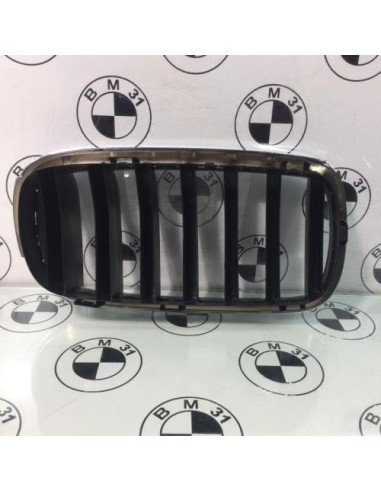 Grille de calandre gauche BMW X6 F16 
