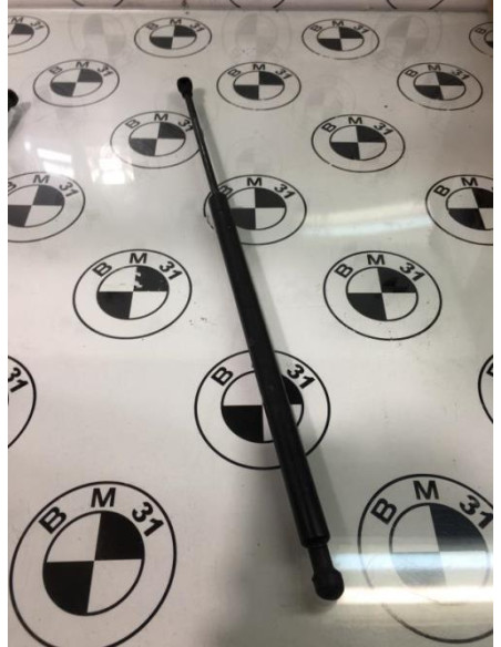 Verin de coffre BMW X5 E53 