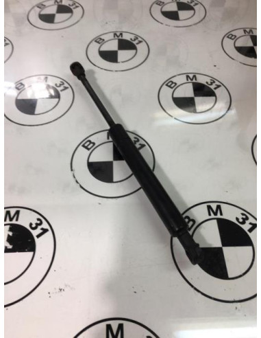 Verin de capot BMW X5 E53 