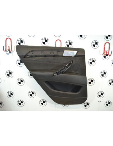 Panneau de porte arriere gauche BMW X6 E71 PHASE 1 Essence