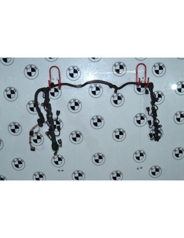 Faisceau (allumage) BMW SERIE 5 F10 PHASE 1 