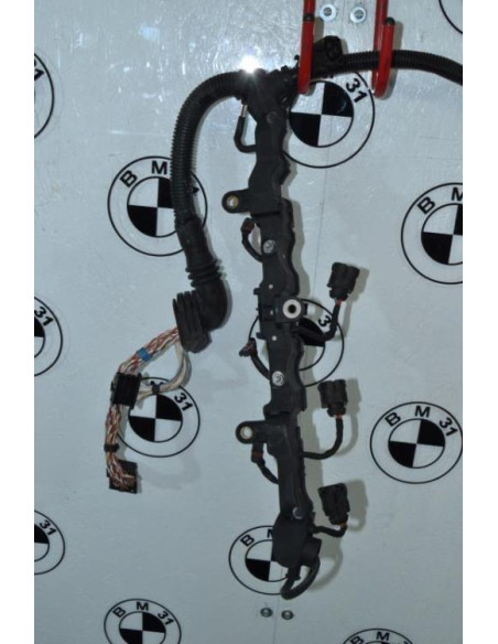 Faisceau (allumage) BMW SERIE 5 F10 PHASE 1 