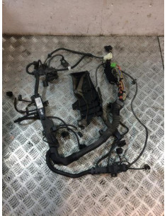 Faisceau moteur BMW X1 E84 PHASE 1 Diesel