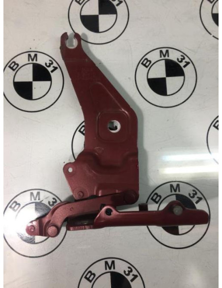 Charniere de capot BMW X6 E71 PHASE 1 Essence