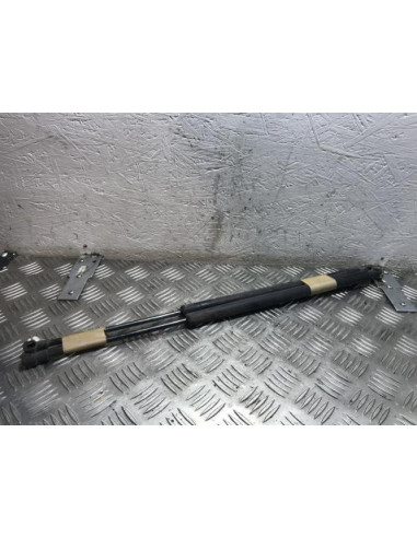 Verin de coffre BMW X5 E53 