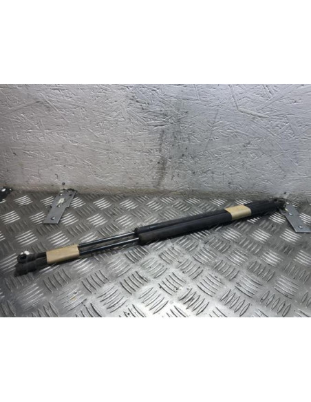 Verin de coffre BMW X5 E53 