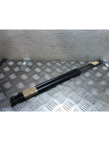 Verin de coffre BMW X5 E53 Diesel