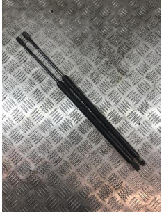 Verin de coffre BMW X5 E53 Diesel