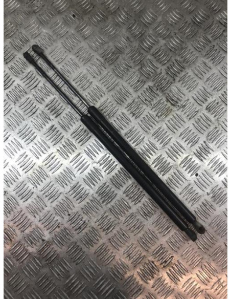 Verin de coffre BMW X5 E53 Diesel