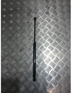 Verin de coffre BMW SERIE 1 F21 PHASE 1 Diesel