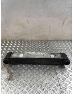 Echangeur air (Intercooler) BMW SERIE 5 E39 PHASE 2 Diesel