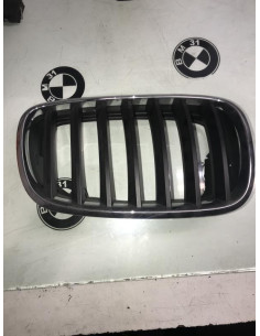 Grille de calandre droite BMW X5 E53 