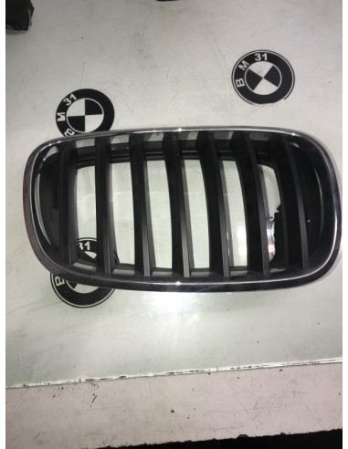 Grille de calandre droite BMW X5 E53 
