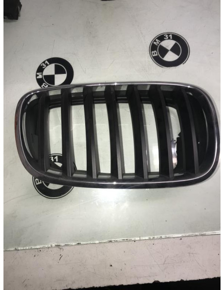 Grille de calandre droite BMW X5 E53 