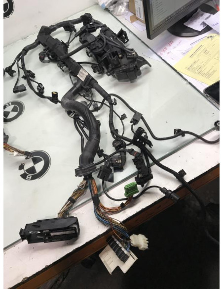 Faisceau moteur BMW SERIE 3 E91 TOURING PHASE 2 BREAK Diesel