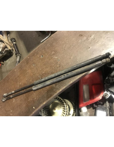 Verin de coffre BMW X5 E53 