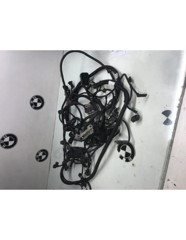 Faisceau moteur BMW SERIE 1 F21 PHASE 2 Essence