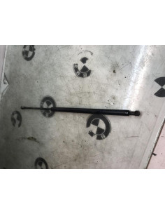 Verin de coffre BMW X5 E53 