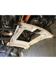 Garniture de pavillon BMW X5 E70 PHASE 1 