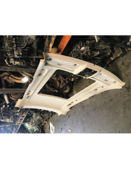 Garniture de pavillon BMW X5 E70 PHASE 1 