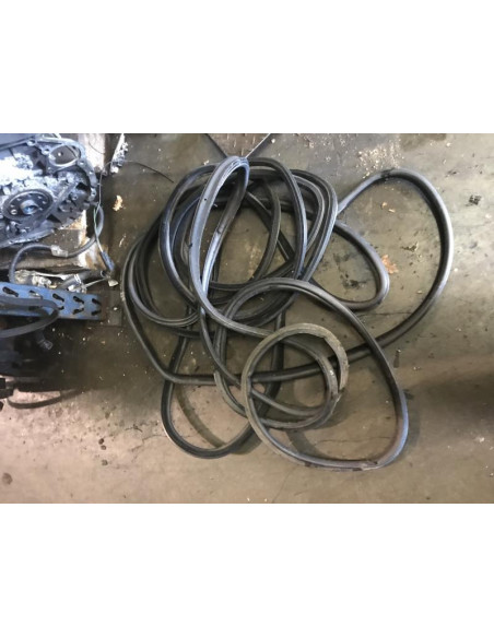 Joint de porte arriere gauche BMW X5 E53 