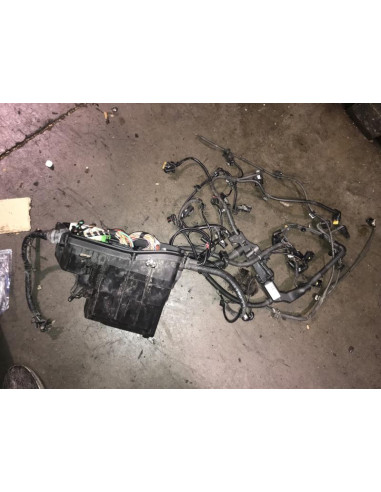 Faisceau moteur BMW SERIE 3 E91 TOURING PHASE 2 BREAK Diesel